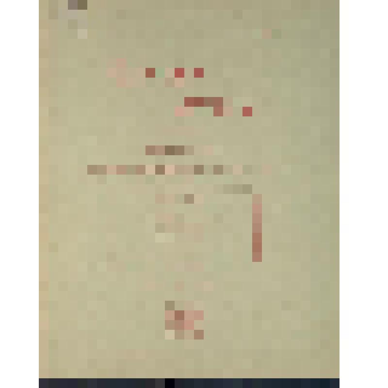 Книга. Picariae. Fam. Musophagidae