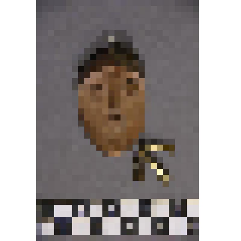 коллекция В.Ф. Лагодича. Талисман деревянный выполнен в виде головы человека. Вырезано схематичное лицо. На голове латунная бляшка смещенная в левую сторону. С левой стороны расположены 3 латунные пронизки прикрепленные к кольцу