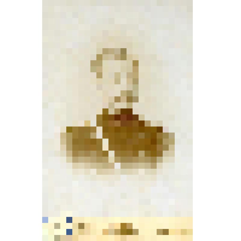 Фотография черно-белая. Поручик Тяжельников Михаил Иванович