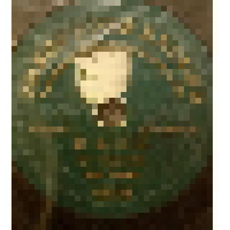 Грампластинка. Пьеса: "Цепи". Исполняет Панина В.В., Россия; Пьеса: "В блеске дивной красы".  Исполняет Панина В.В. /цыганский романс/, Россия