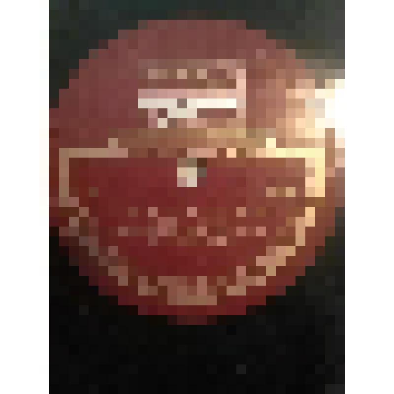 Грампластинка. 1. Монолог Тузенбаха из III акта пьесы А. Чехова "Три сестры". Исполняет В. Качалов. 2. Рассказ Луки о добром человеке из пьесы М. Горького "На дне". Исполняет И. Москвин. "Три сестры"; "На дне". Москва, Московский Художественный академичес