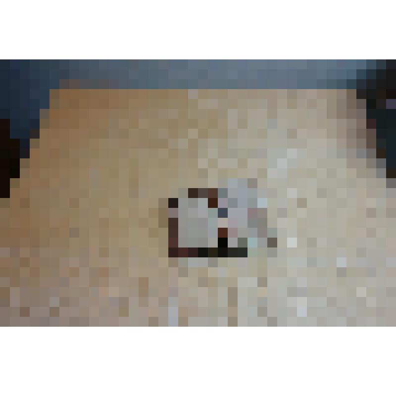 Книга. Библия или книги Священного писания Ветхого и Нового Завета