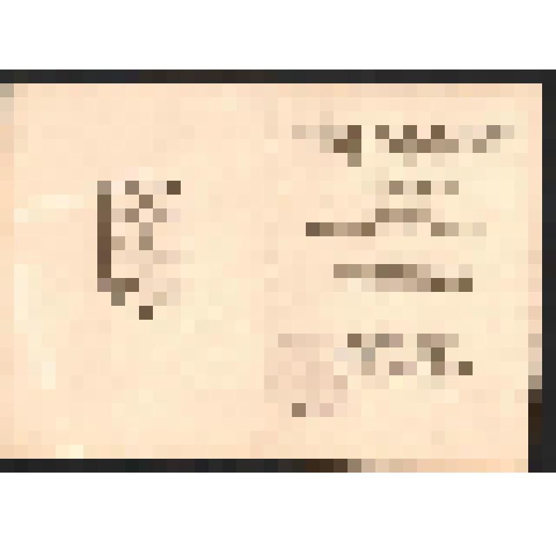 Удостоверение Почётного гражданина города Приозерска Тамберг