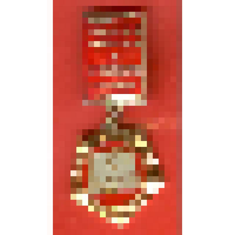 Значок нагрудный "9 класс. Учиться, учиться и учиться. В.И.Ленин"