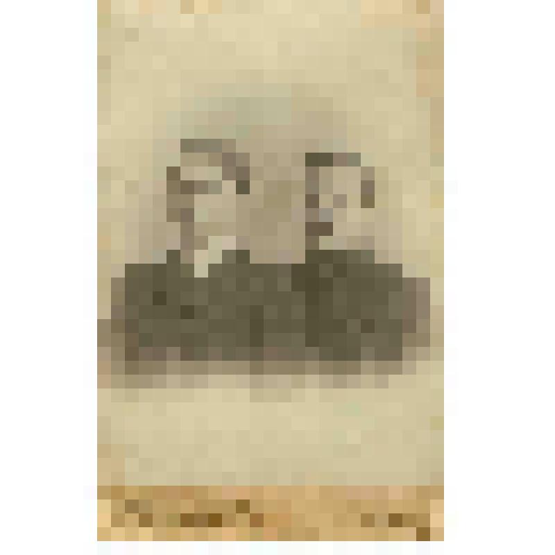 Фотография. Дробышев Дмитрий Дмитриевич с другом, из коллекции фотографий семьи Кузнецовой О.Р. Нач.20 в. - 1930-е гг