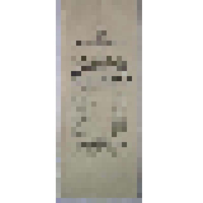 Программа с исполнителями. "Иван царевич". Архангельск, Городской театр; Антреприза, Труппа русских драматических артистов под уравлением В.А. Крамолова