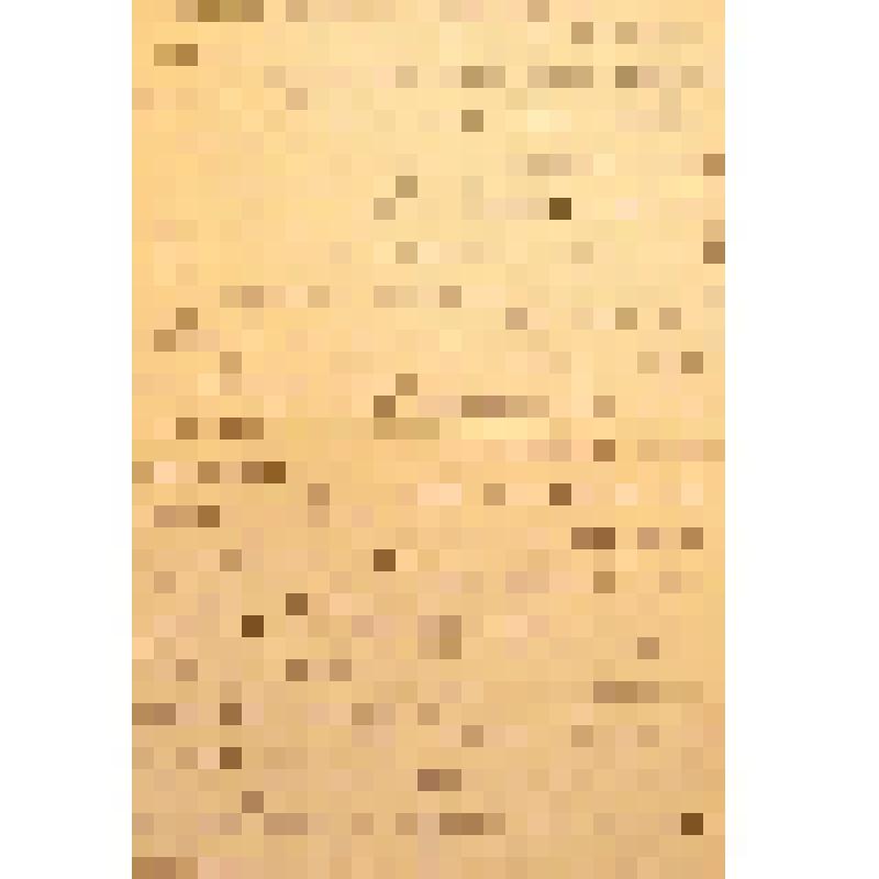 Письмо Голицына С. М. Булаевскому Н. В., от 17 января 1980 года