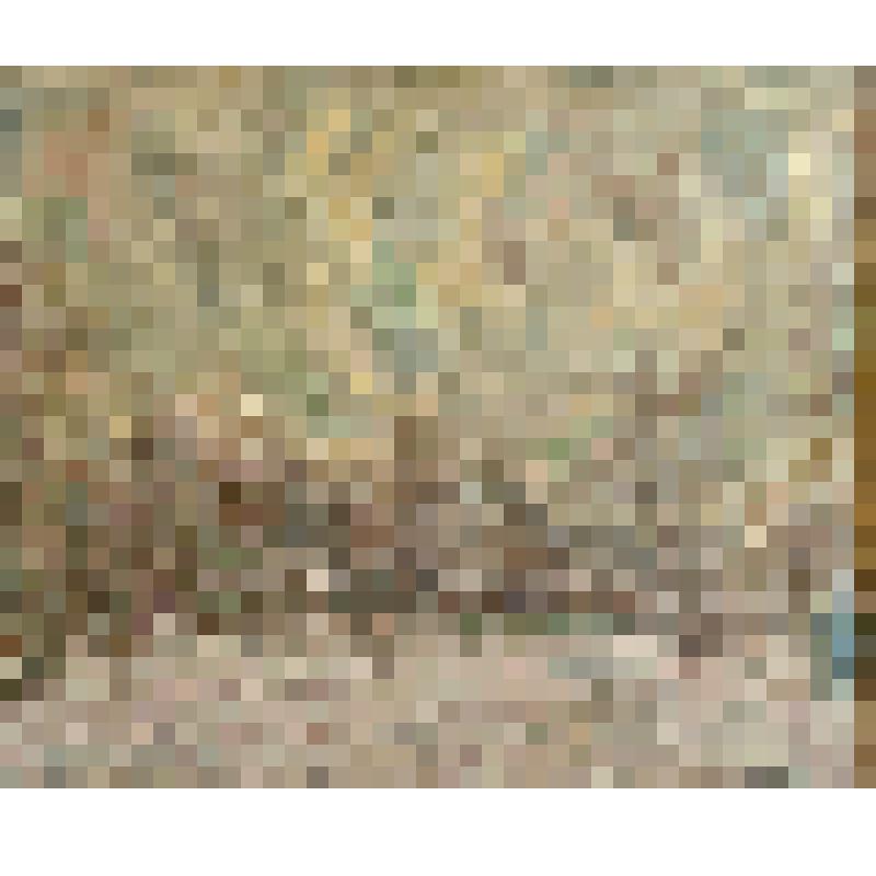 Зимний этюд