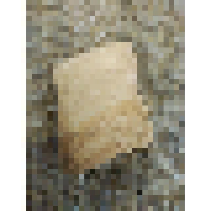 Фрагмент фаянсовой тарелки