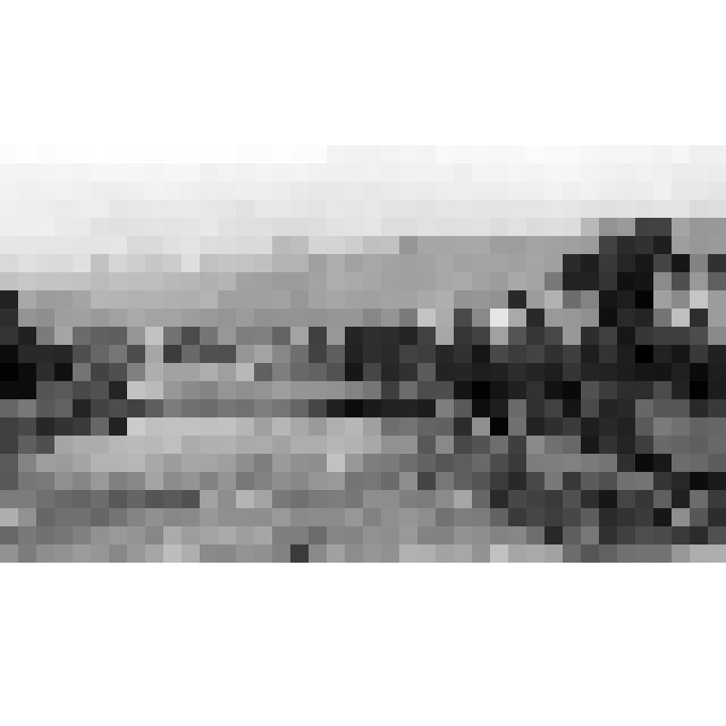 Негатив черно-белый «Сочи. На берегах реки Сочи», автор И. Григоров. СССР, г. Сочи, 1970-е гг