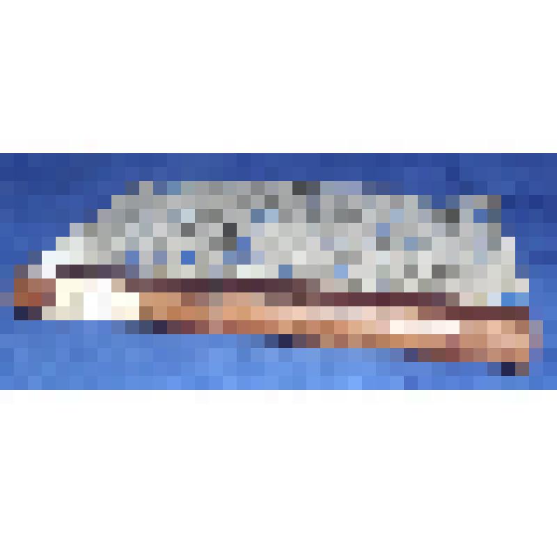 Сборник грамматических задач, курс 2-х младших классов гимназии, сост. Л. Васильев, С-Пб, 1872 г