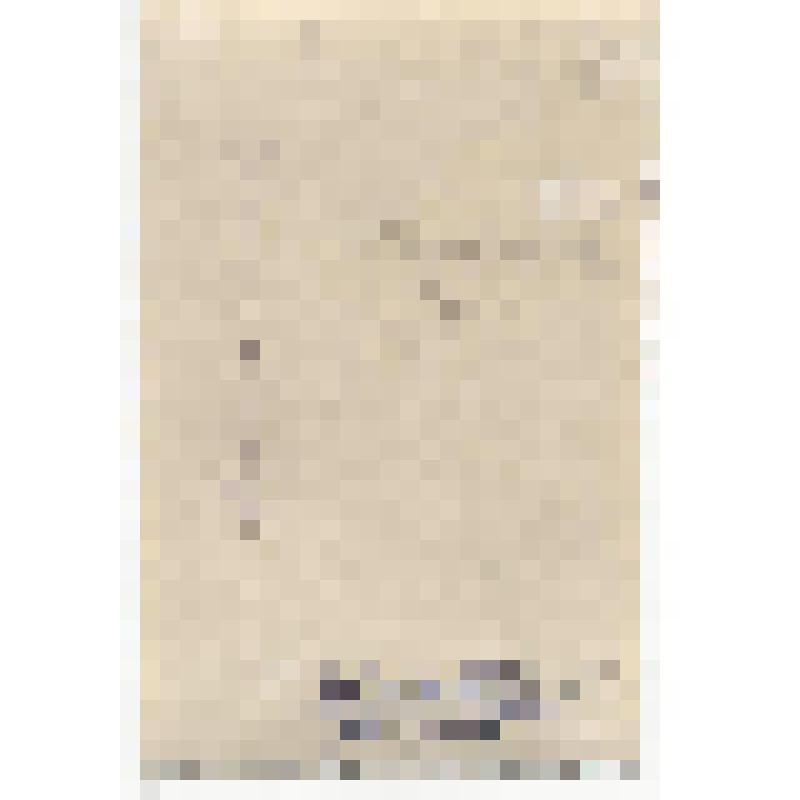 Фотодокумент. Наумова М.С