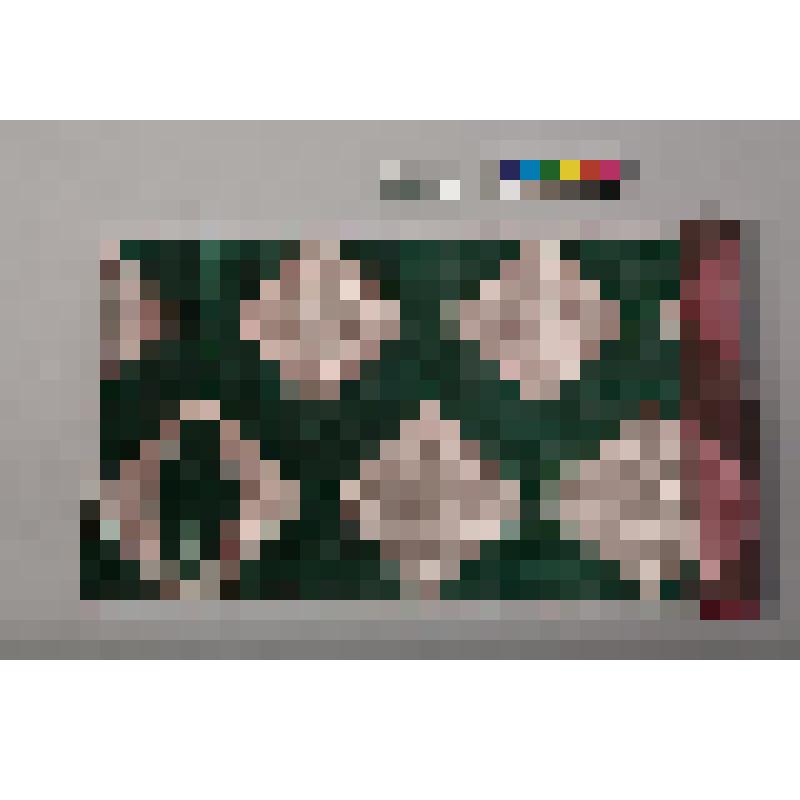 Образец икатного бархата. Узбеки