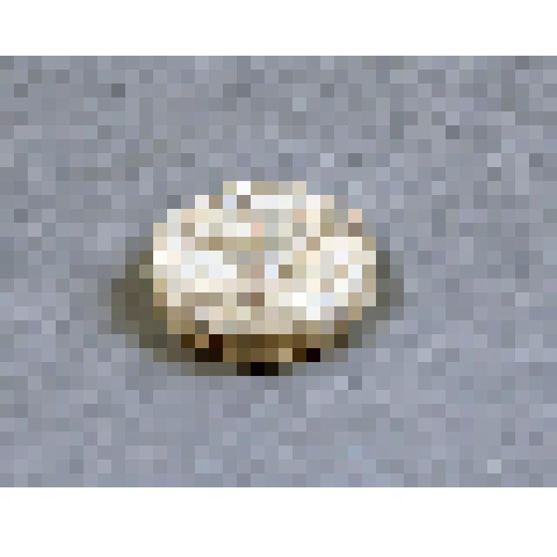 Пломба Николаевской железной дороги "Тверь", от декабря 1907 г. из коллекции торговых железнодорожных пломб