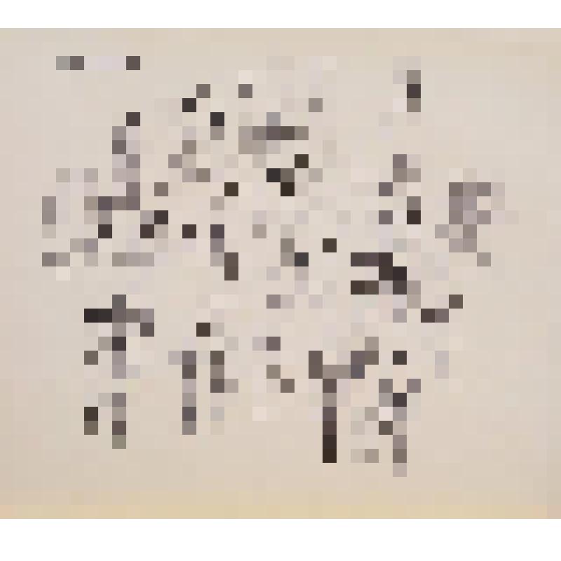 Композиция. Рисунок