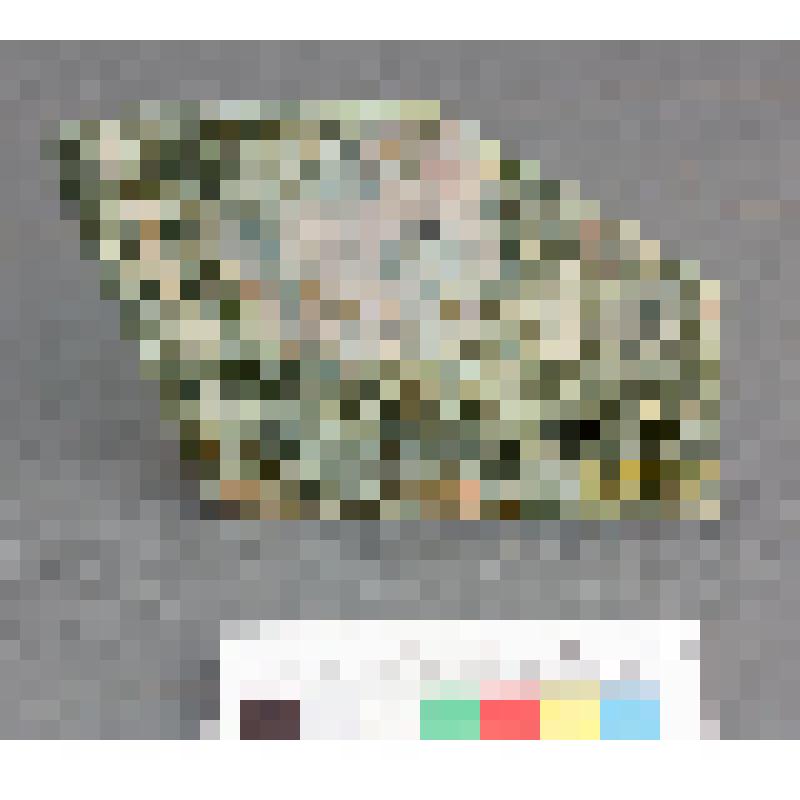 Яшма риддерская. из минералогической коллекции