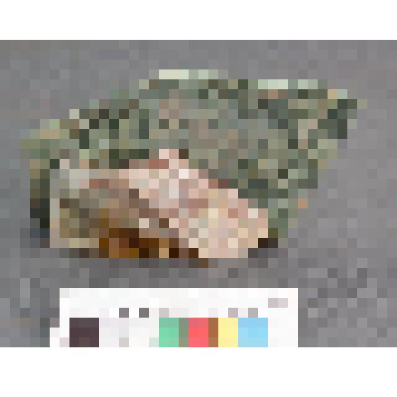 Яшма риддерская. из минералогической коллекции