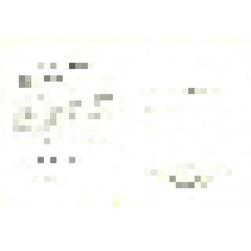 Фото-открытка. Лейла Абашидзе