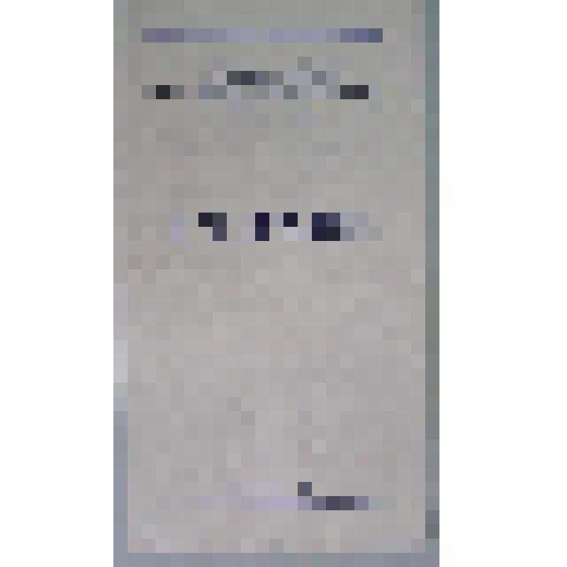 Программа. "Полонянка" (Режиссер - Туров С.Б. Дирижер - Гладунюк И.И. Художник - Шелковников А.А.). Иваново, Театр музыкальной комедии