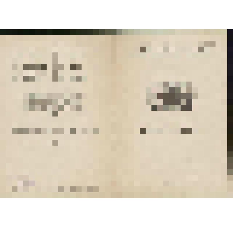 Программа. "Иван Сусанин" (Редакция - Пазовский А.М. и Баратов Л.В. Дирижер - Небольсин В.В. Режиссер - Баратов Л.В. Художник - Вильямс П.В.). Москва, Государственный академический Большой театр СССР