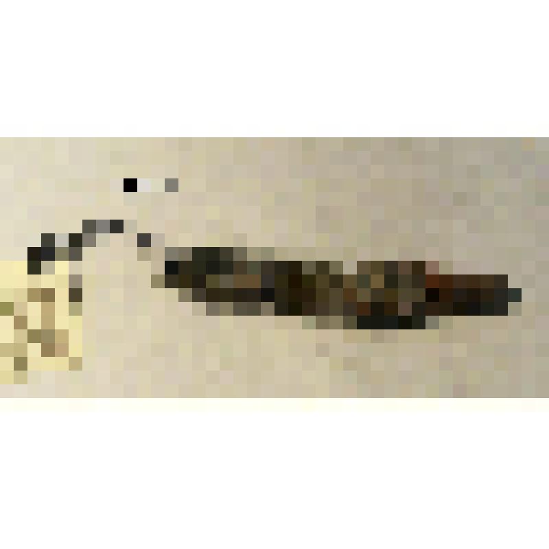 Шило