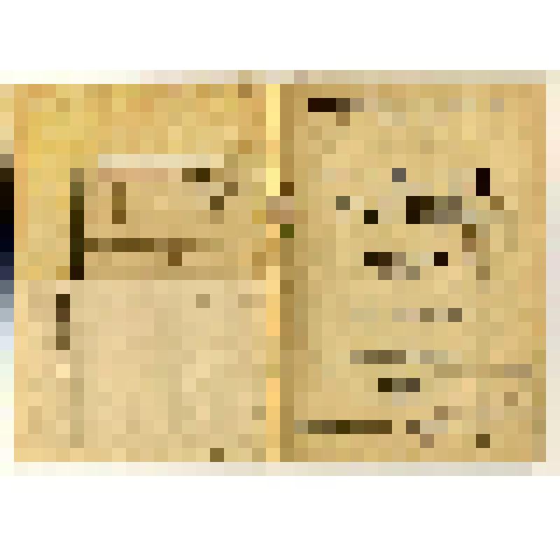 Брошюра. Что такое комсомол и чем он должен стать. Очередные задачи комсомола. Доклад на собрании Ленинградской организации комсомола 5-го мая 1924 г. / Г. Зиновьев. -  изд-е 3-е. - Л.: Рабочее издательство "Прибой", 1925. - 46 с.: ил. - (Сектор "Юный про