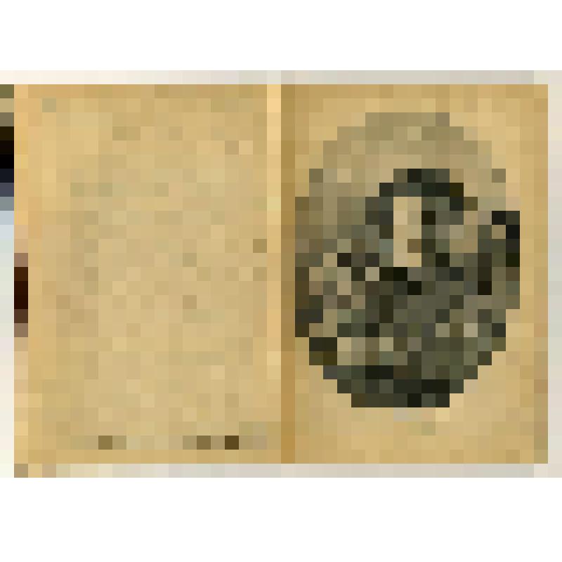 Брошюра. Что такое комсомол и чем он должен стать. Очередные задачи комсомола. Доклад на собрании Ленинградской организации комсомола 5-го мая 1924 г. / Г. Зиновьев. -  изд-е 3-е. - Л.: Рабочее издательство "Прибой", 1925. - 46 с.: ил. - (Сектор "Юный про