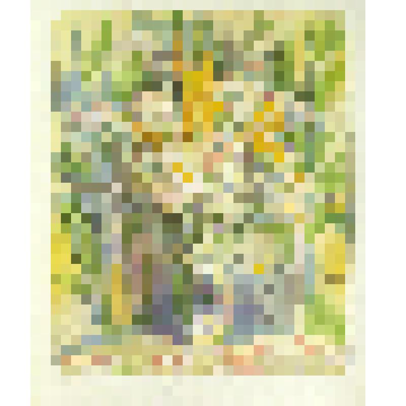 Натюрморт "Лето"