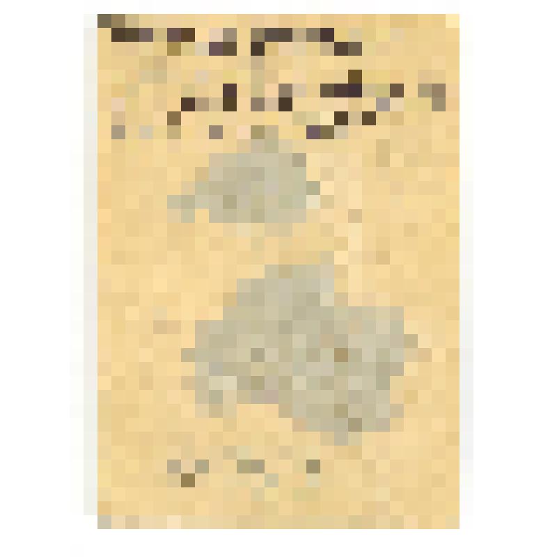 Фотопортрет. Дмитрий Александрович Быстролетов (1901 - 1975 гг.), советский разведчик-нелегал, во время обучения в Праге