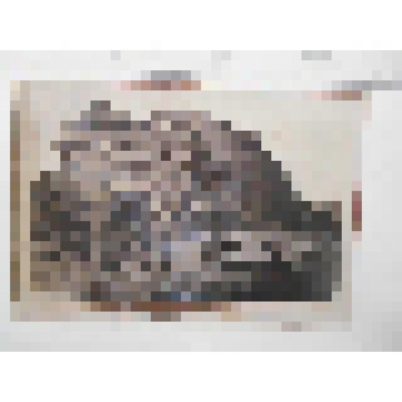 Большая ступа. III в. до н.э. Индия, Санчи. Большая ступа. III в. до н.э. Общ. вид. На паспарту, накл. на бланк фототеки