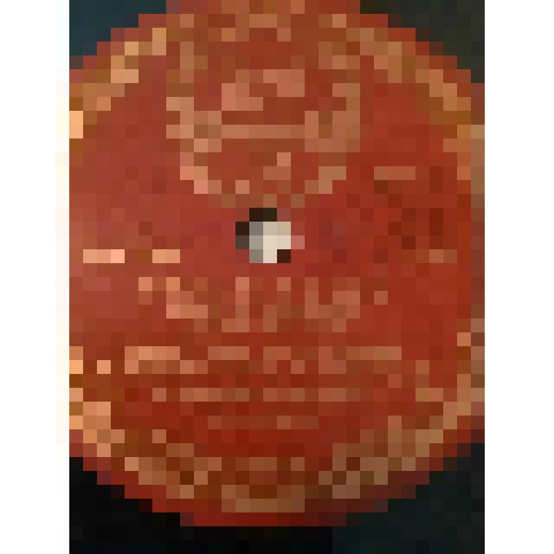 Грампластинка. Сцена из III акта пьесы Б. Ромашова "Великая сила". Исполняют: Е. Шатрова, Ф. Григорьев, Н. Комиссаров, Н. Анненков, В. Владиславский, С. Конов. "Великая сила". Москва, Государственный академический Малый театр СССР