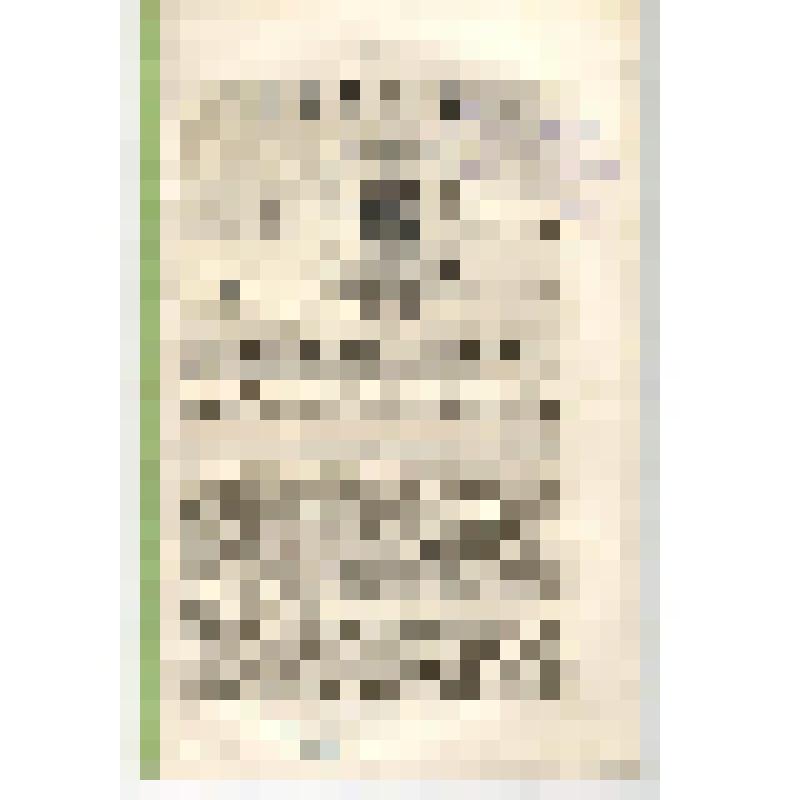 Журнал. Иркутские Епархиальные ведомости. 24 июня. № 25. Иркутск. 1872