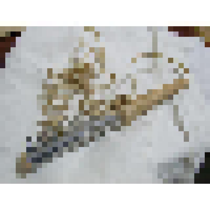 Расческа электрическая для укладки волос, из коллекции бытовых вещей семьи Орловой Калерии Николаевны, бывшей заведующей лабораторией Саратовского областного туберкулезного диспансера