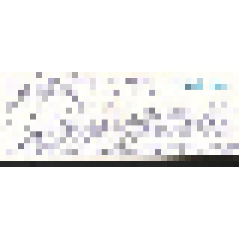 Поздравление Борисковых Богомоловой З.А. с Новым 1978 годом