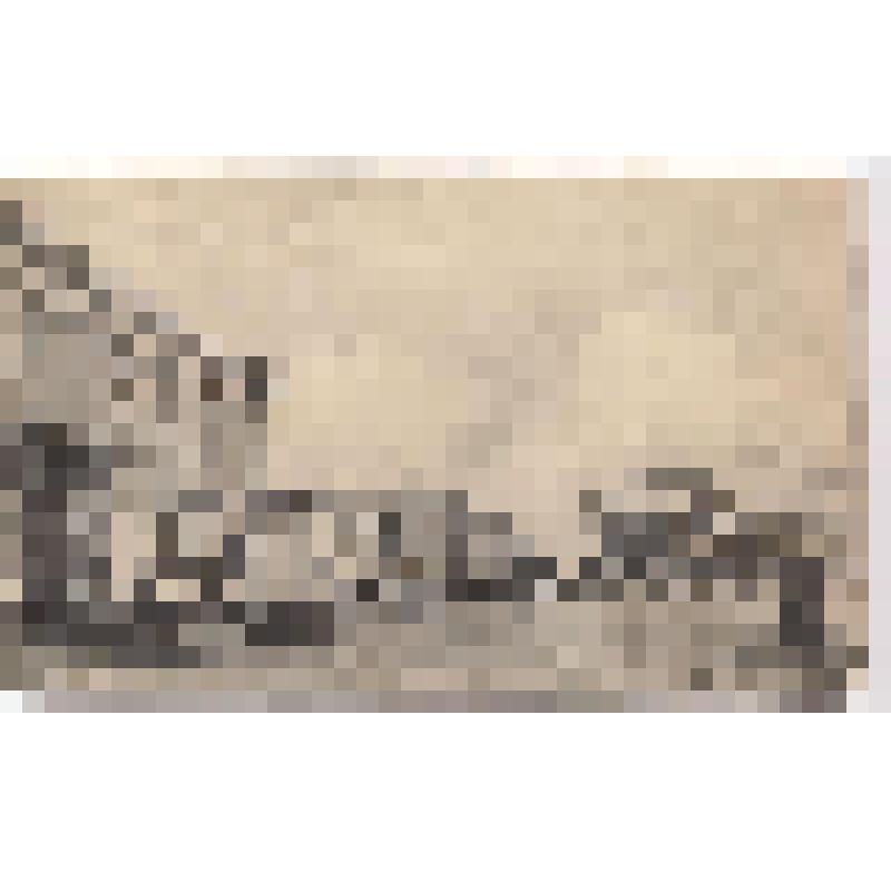 Открытка Соломбальская торговая площадь