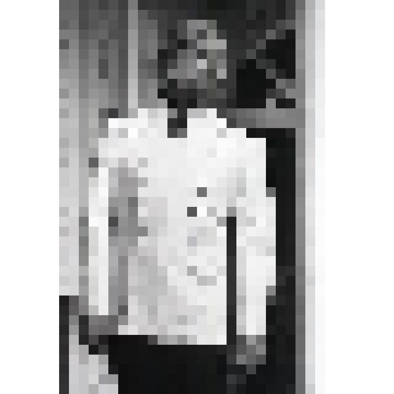 Негатив черно-белый. Вершинин - Любшин С.А. "Три сестры" (1997 - 2003)