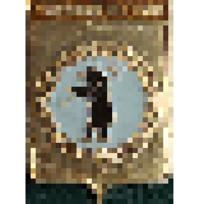 Значок с надписью  Борисоглебск