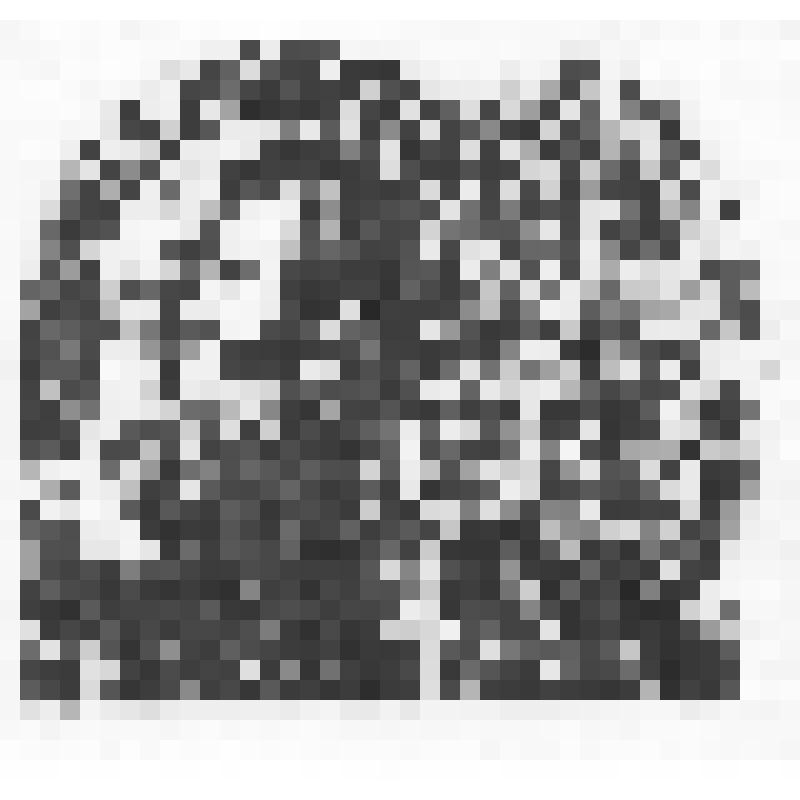 Экслибрис "Пушкиниана В. Манжуло. 1799-1979"