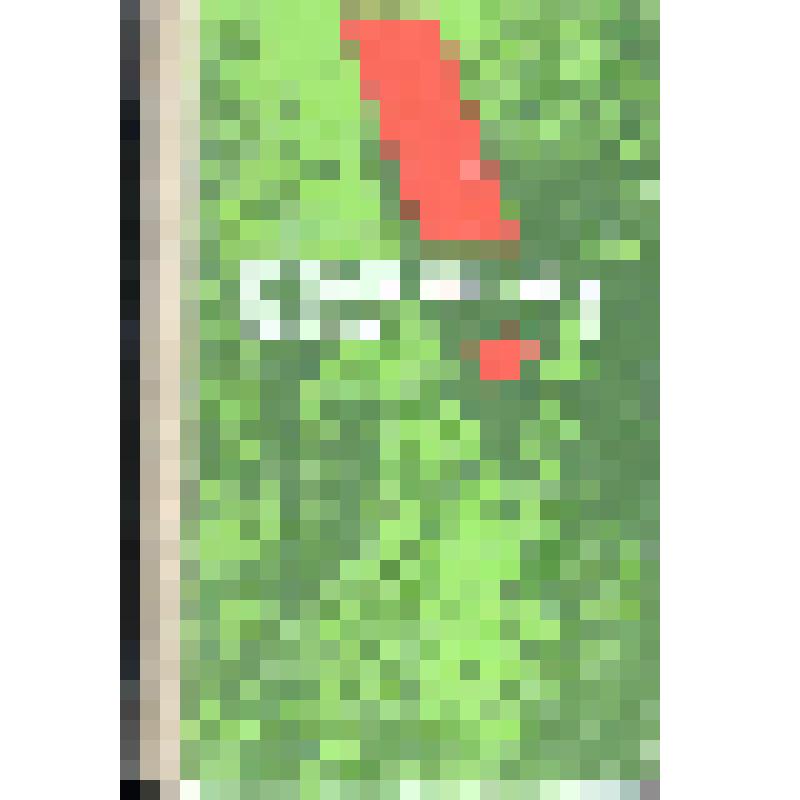 Книга. А.Н. Сабуров "Отвоеванная весна". Партизанские записки.Устинов, издательство "Удмуртия", 1986 г