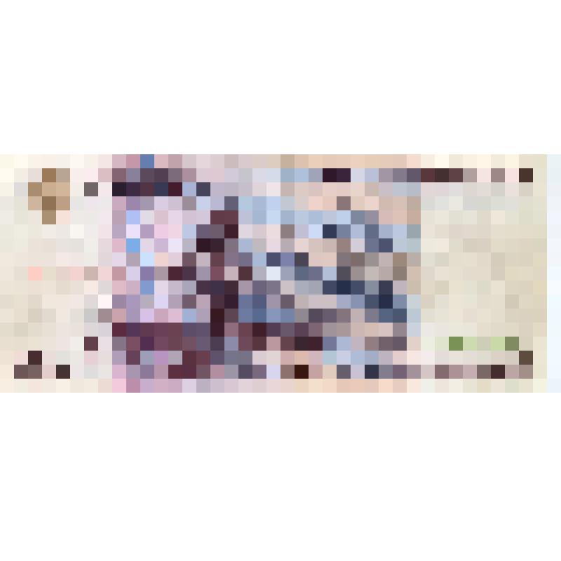 Билет банка России 500 000 рублей образца 1995 года. Образец