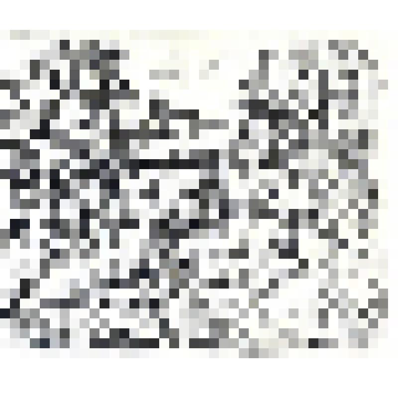 Офорт "Дом Надежды Дуровой"