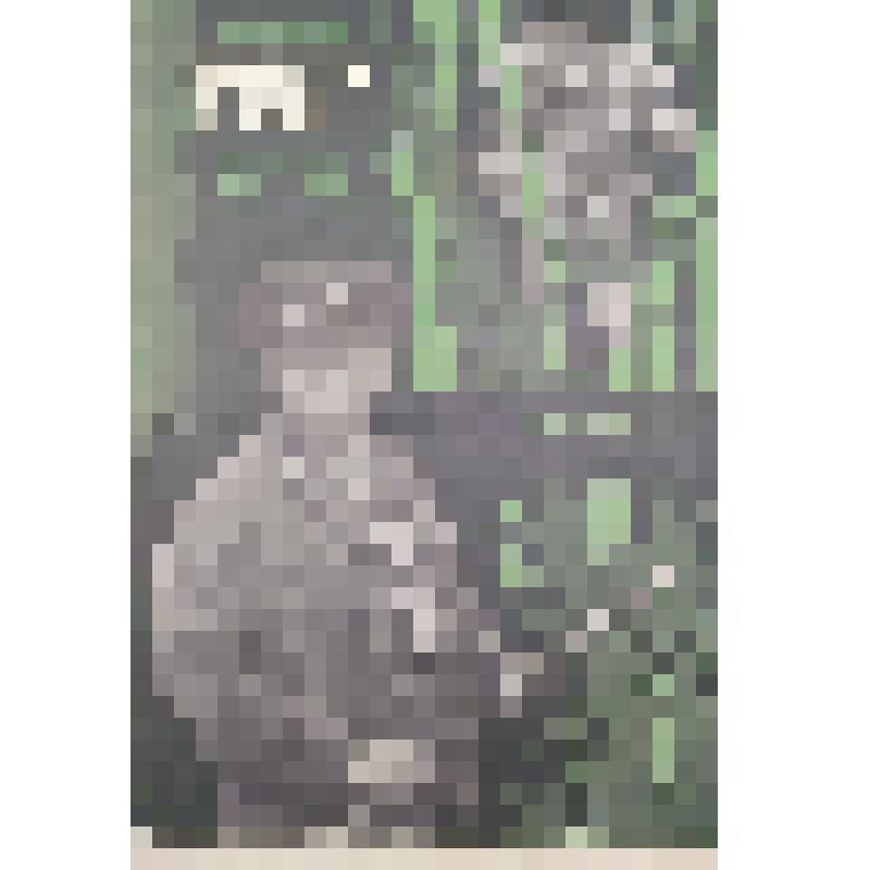 плакат. Фильм: Выстрел в лесу. 1983