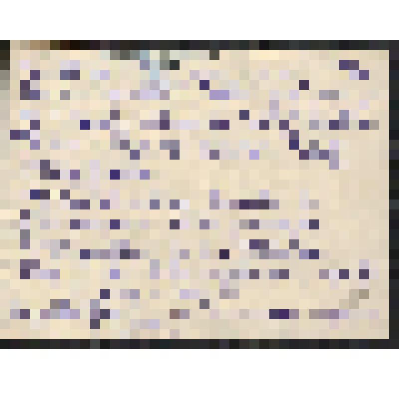 Фотография. Тихон Федорович Побивайло, защищавший киришскую землю в составе 198 стрелковой дивизии