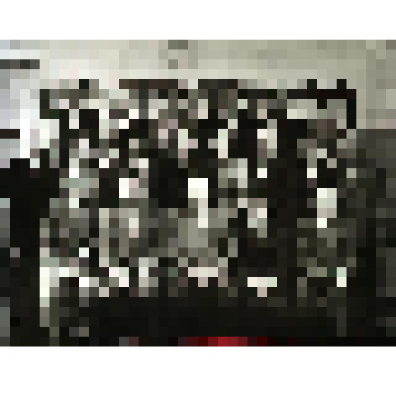 Фотография групповая. Электроцех Богословской ТЭЦ