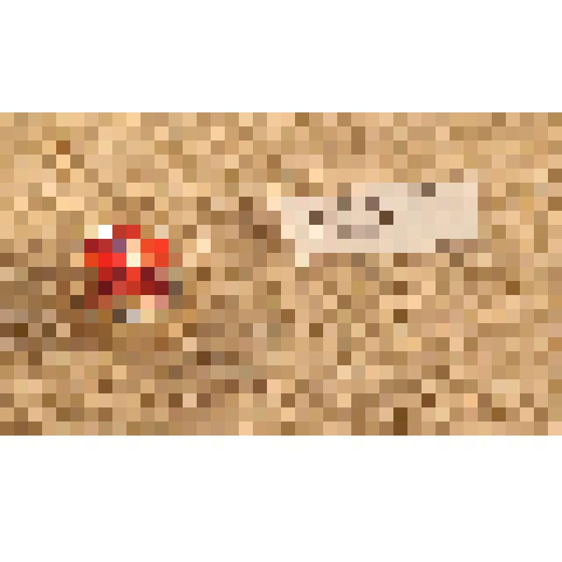 Игрушка елочная «Шар с двойной красной звездой» для искусственной мини-елки, из коллекции игрушек елочных для мини-елки из наборов елочных украшений "Малютка"