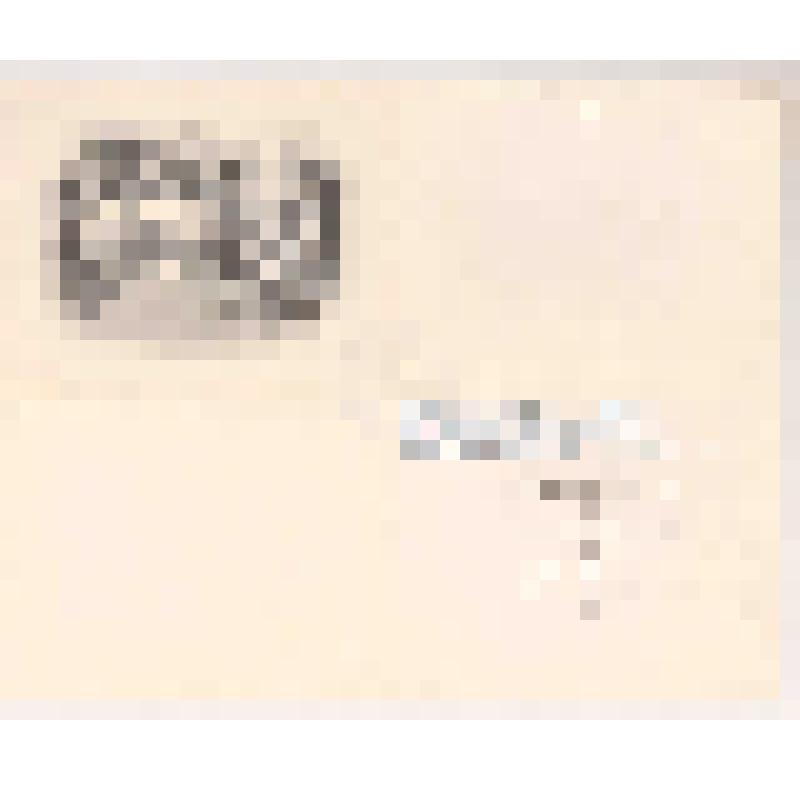 З.Г. Фосдик. Открытка с поздравлением Л.С. и Т.С. Митусовым