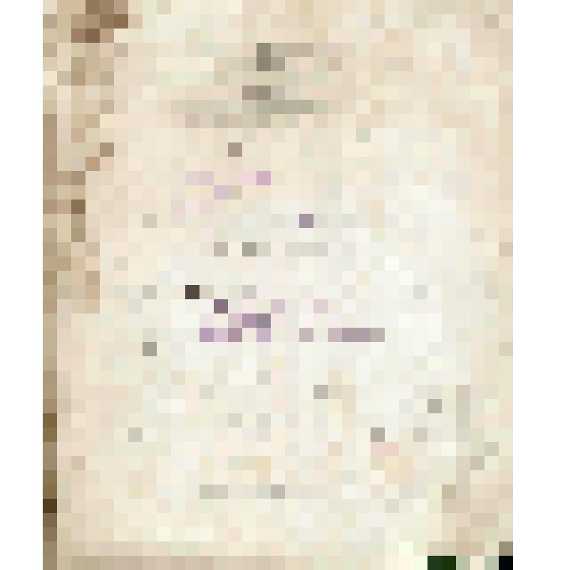 Книга "Приемка семги Н.П.Алина 1902 г."