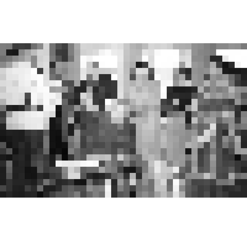 Фотография. Гости Дней памяти В.М. Шукшина в станице Клетской в музее донского казачества