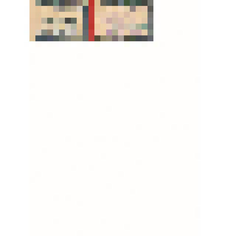 Удостоверение о присвоении звания «Ударник коммунистического труда» Шашенина Н.С. 04.06.1961г