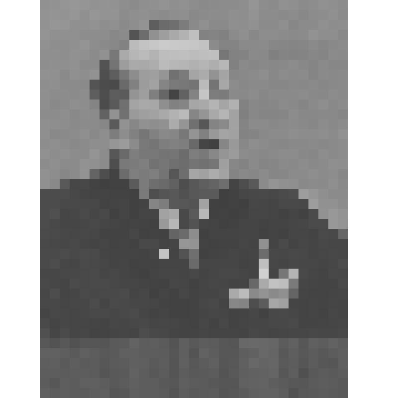Фотография. Селягин Иван Николаевич